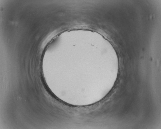 X0000067950007200605112137