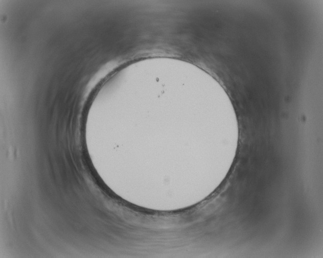 X0000067950008200605112137