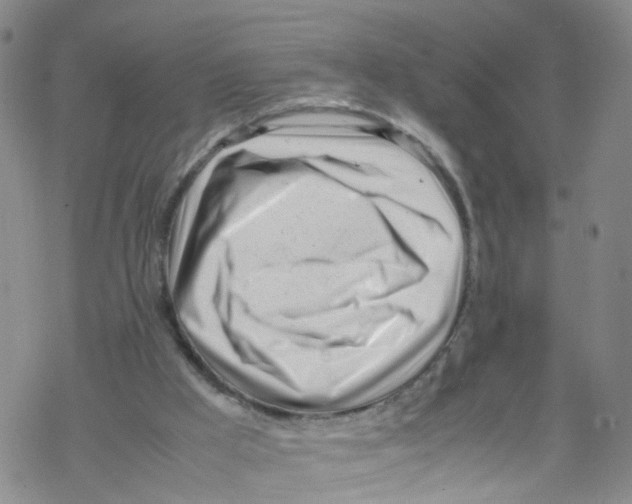 X0000067950009200605112137