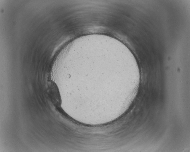 X0000067950010200605112137