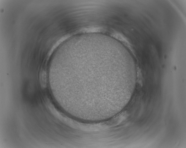 X0000067950012200605112137