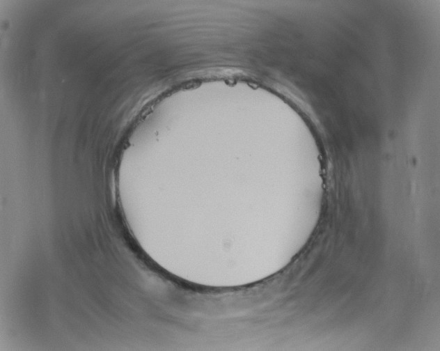 X0000067950013200605112137