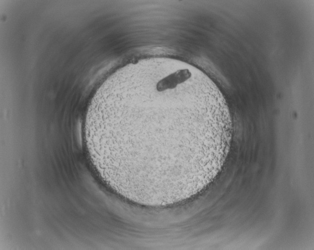 X0000067950014200605112137