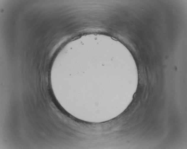 X0000067950015200605112137