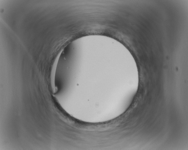 X0000067950017200605112137