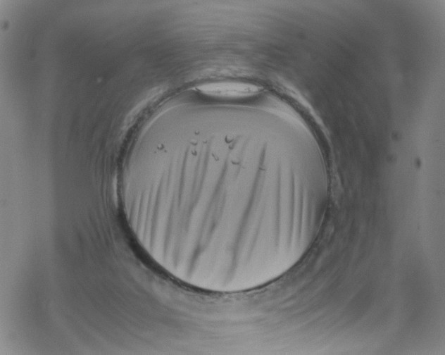 X0000067950019200605112137