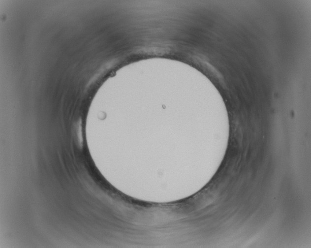 X0000067950020200605112137