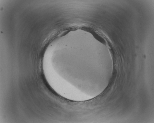 X0000067950023200605112137