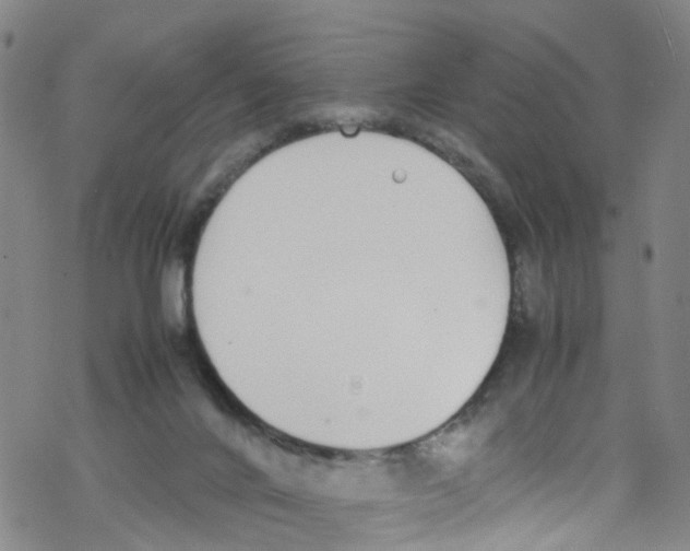 X0000067950024200605112137