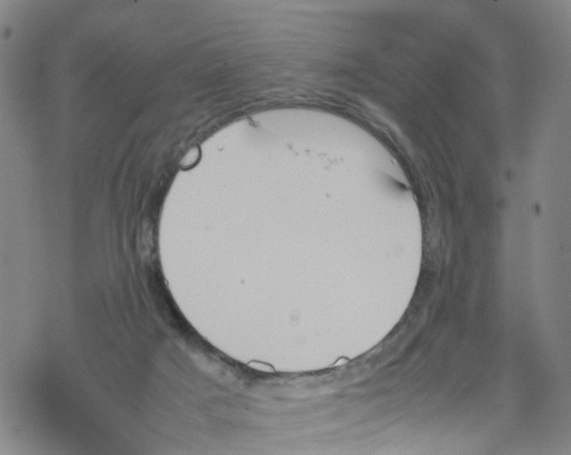 X0000067950025200605112137