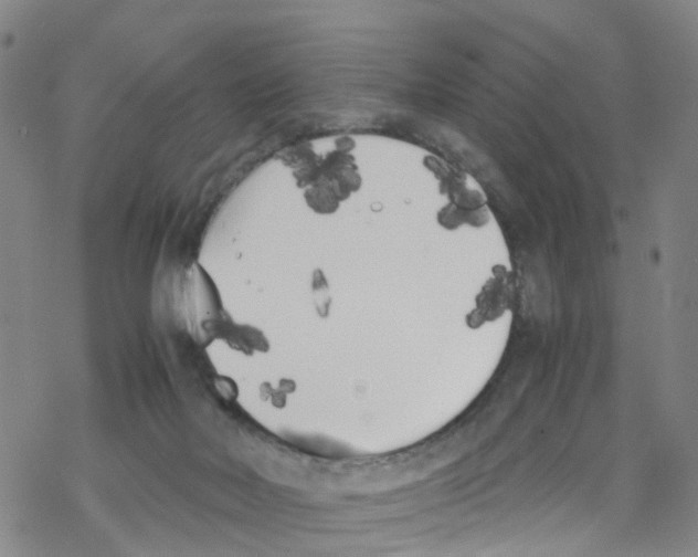 X0000067950026200605112137