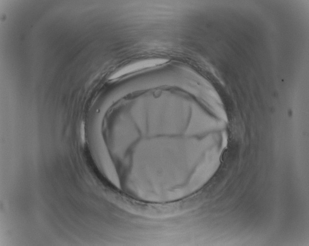 X0000067950027200605112137