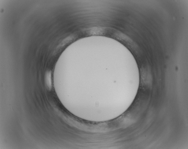 X0000067950028200605112137