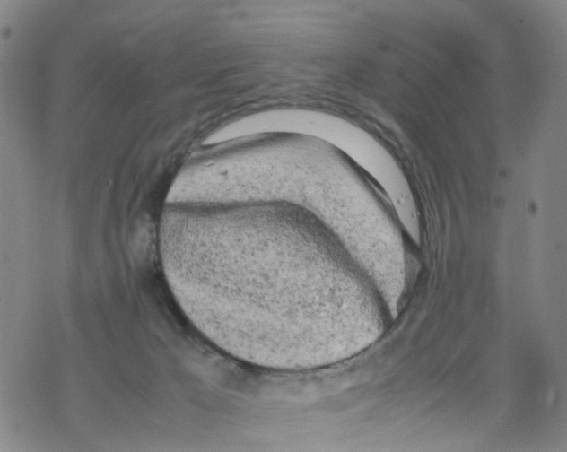 X0000067950029200605112137