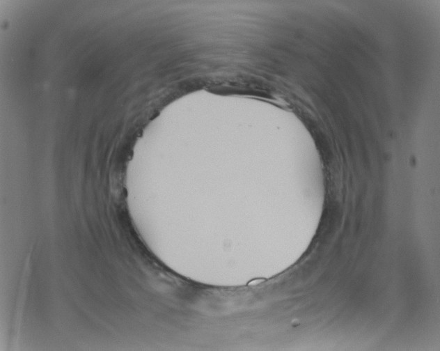 X0000067950033200605112137