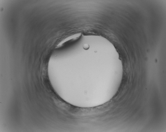 X0000067950037200605112137