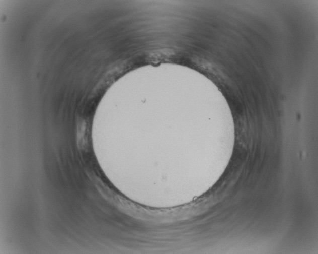 X0000067950038200605112137