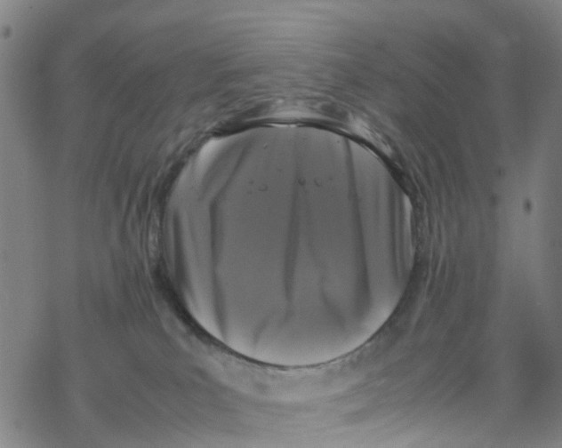 X0000067950039200605112137