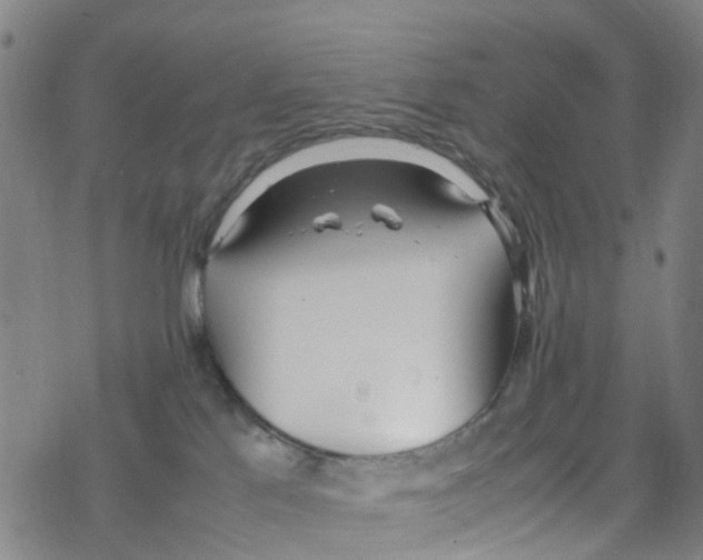 X0000067950041200605112136