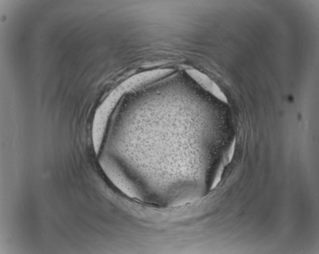 X0000067950043200605112136