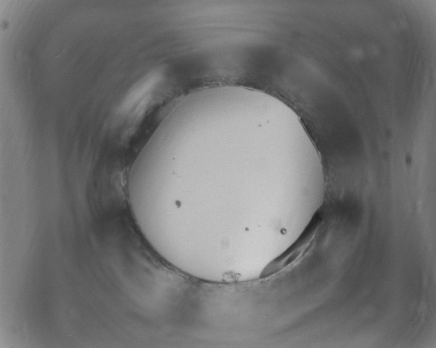 X0000067950045200605112136