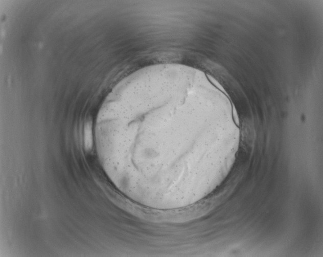 X0000067950046200605112136