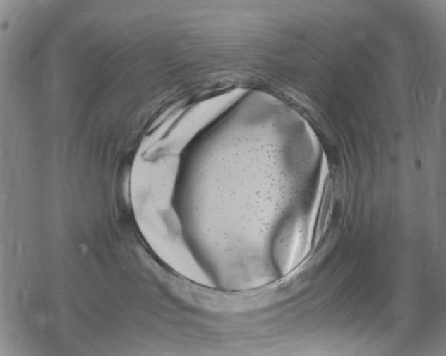 X0000067950047200605112136