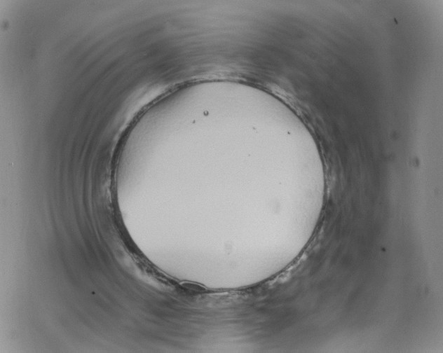 X0000067950050200605112136