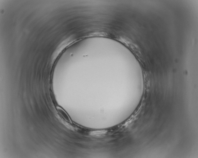 X0000067950051200605112136