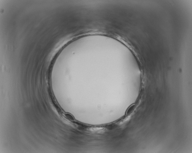 X0000067950055200605112136