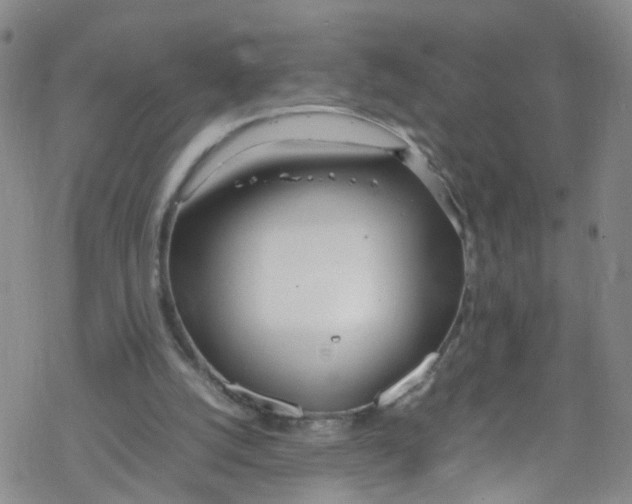 X0000067950056200605112136