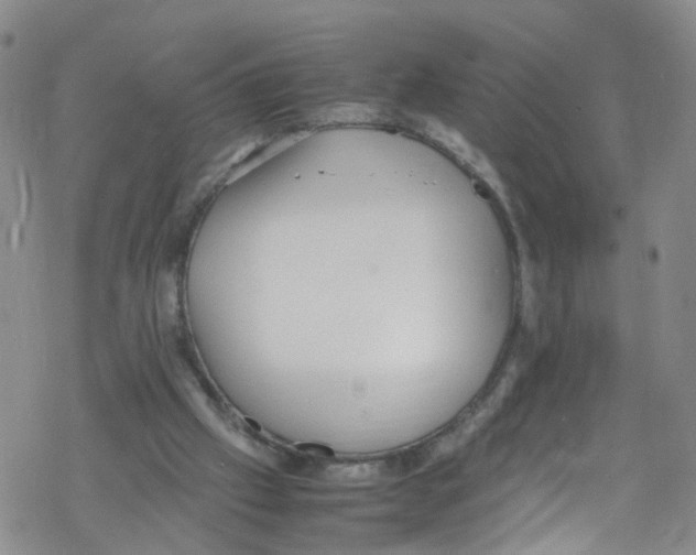 X0000067950057200605112136