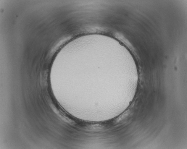 X0000067950058200605112136