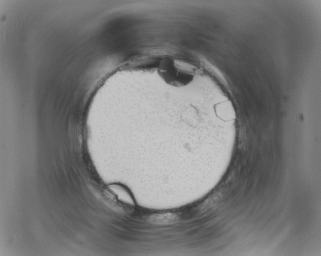 X0000067950059200605112136