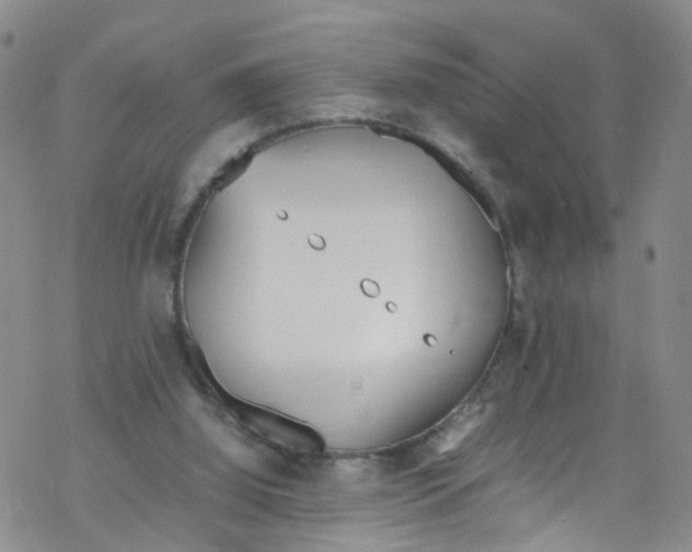 X0000067950060200605112136