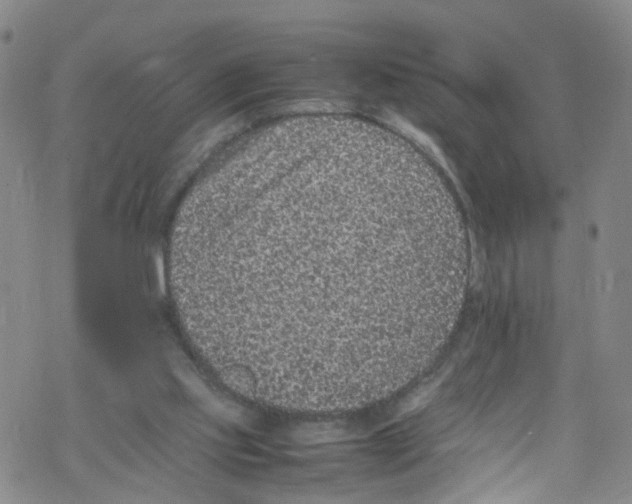 X0000067950061200605112136