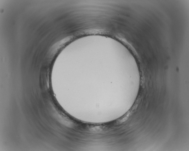 X0000067950062200605112136