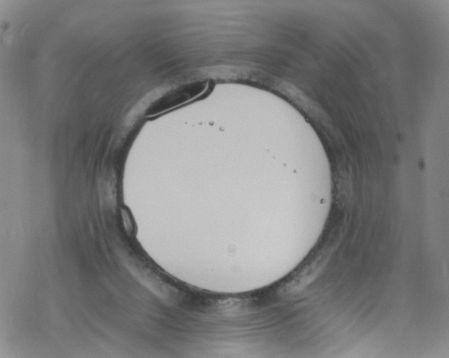 X0000067950064200605112136