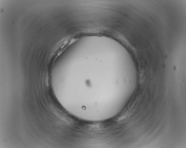 X0000067950068200605112136