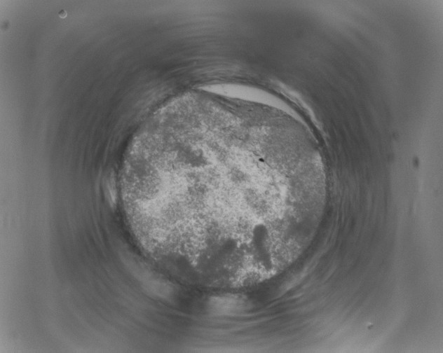 X0000067950069200605112136