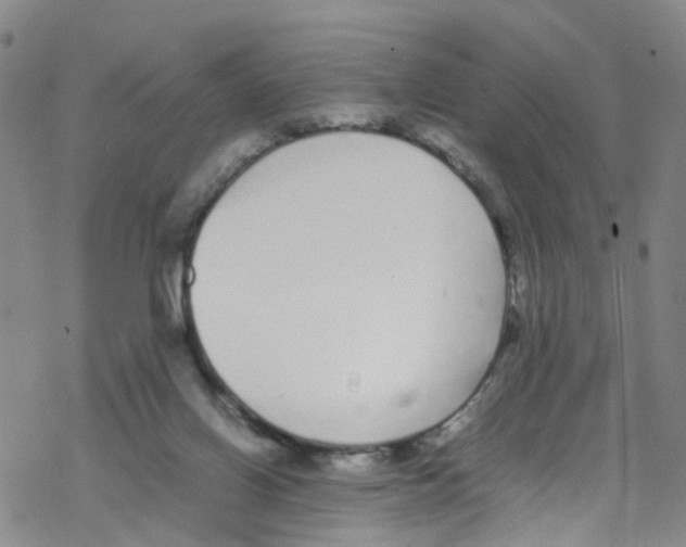 X0000067950070200605112136