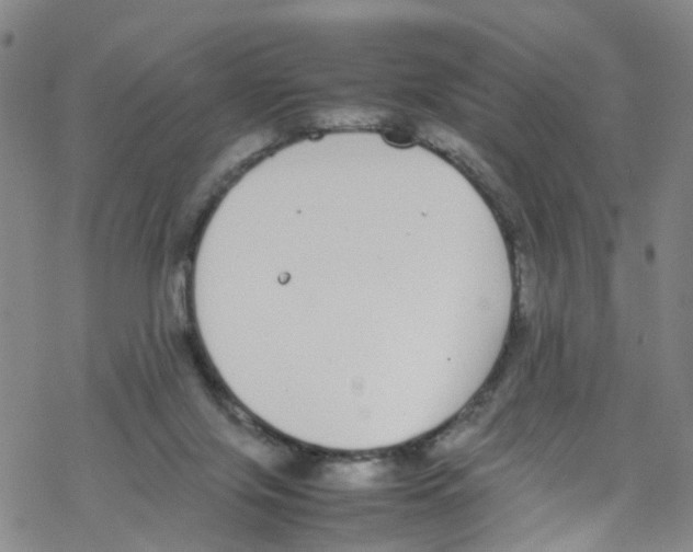 X0000067950071200605112136