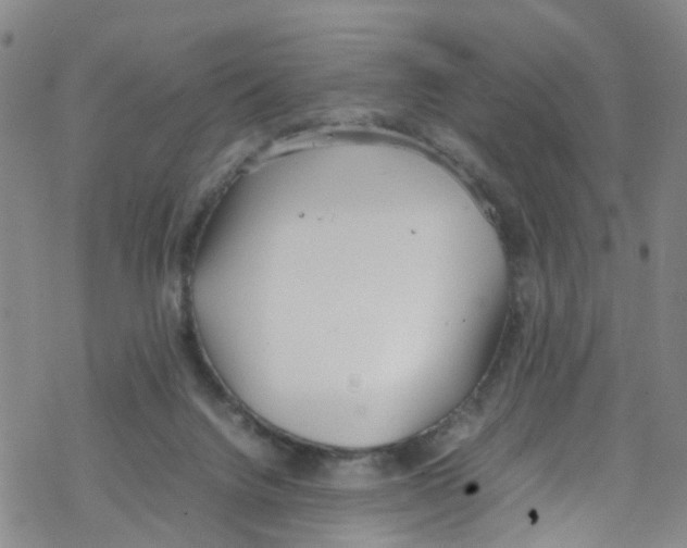 X0000067950072200605112136