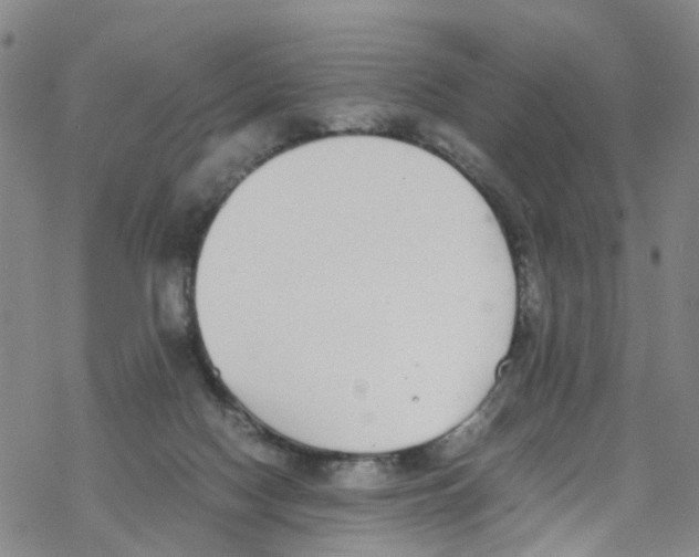 X0000067950074200605112136