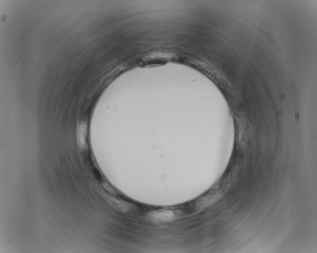 X0000067950075200605112136