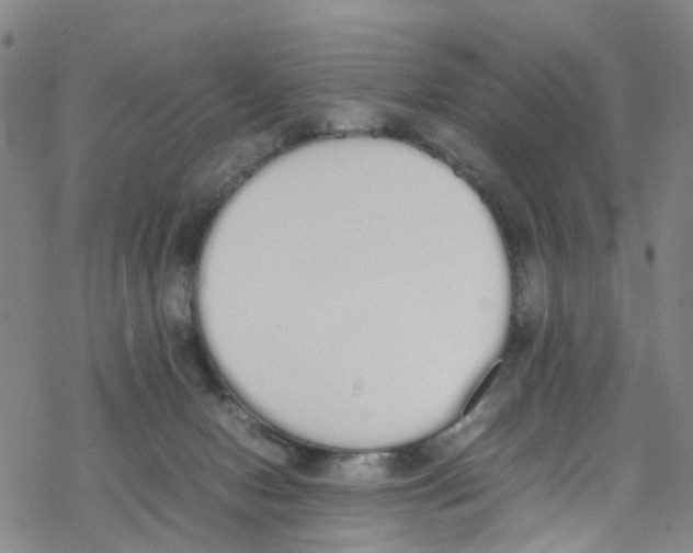 X0000067950078200605112136