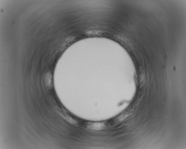 X0000067950081200605112136