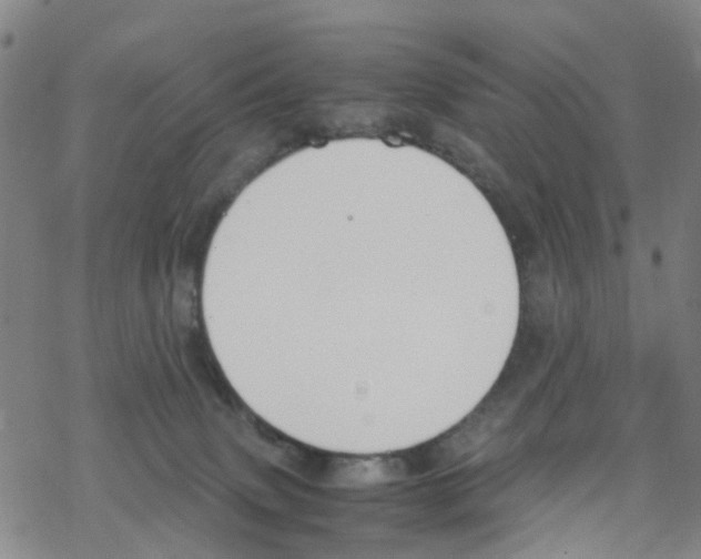 X0000067950083200605112136