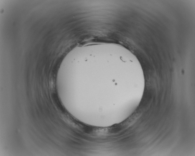 X0000067950084200605112136