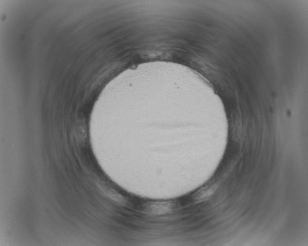 X0000067950085200605112136